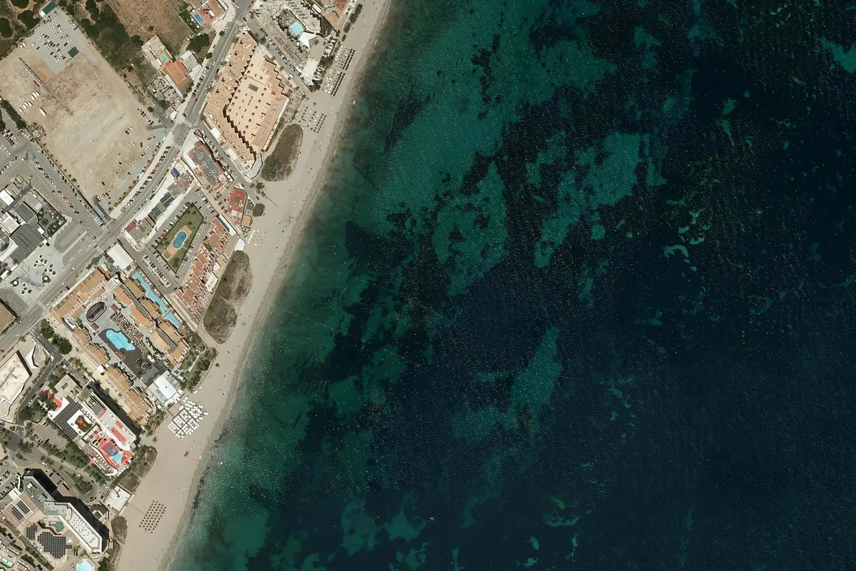 Foto de Platja d'en Bossa