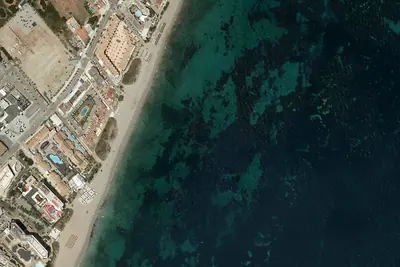 Foto de Platja d'en Bossa
