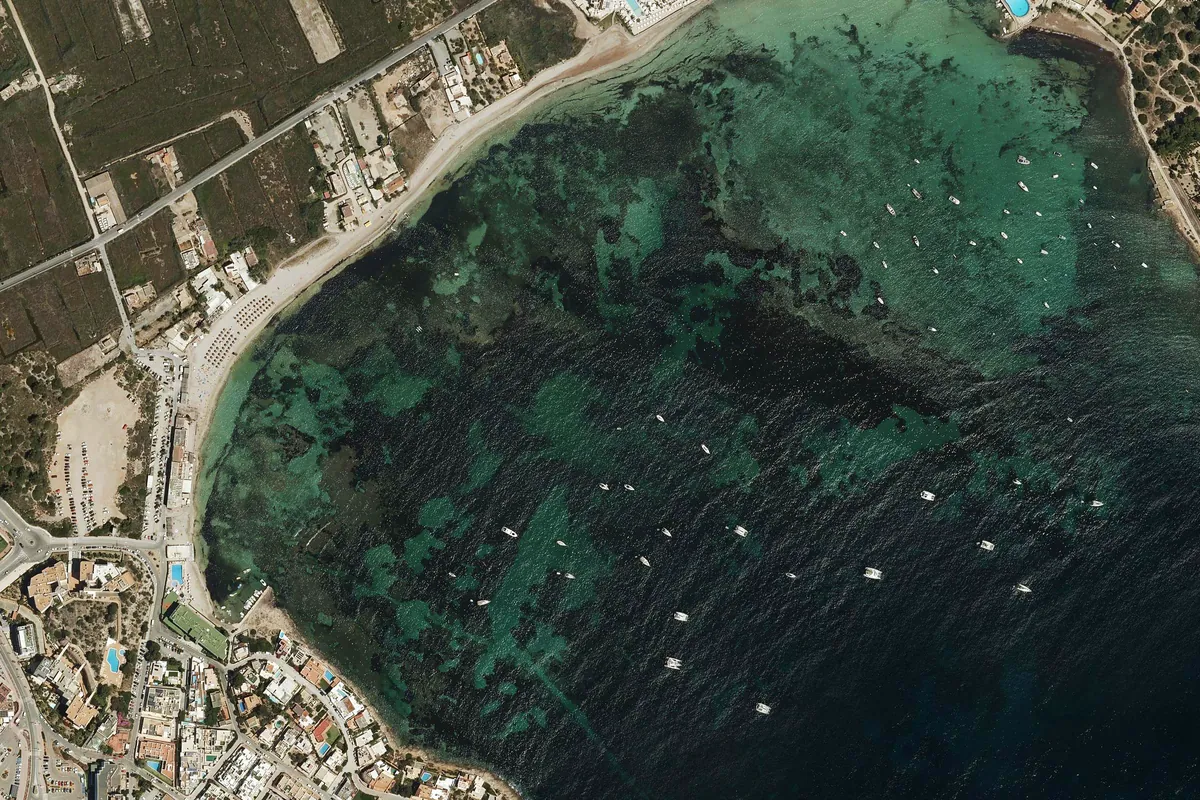 Foto de Platja de Talamanca
