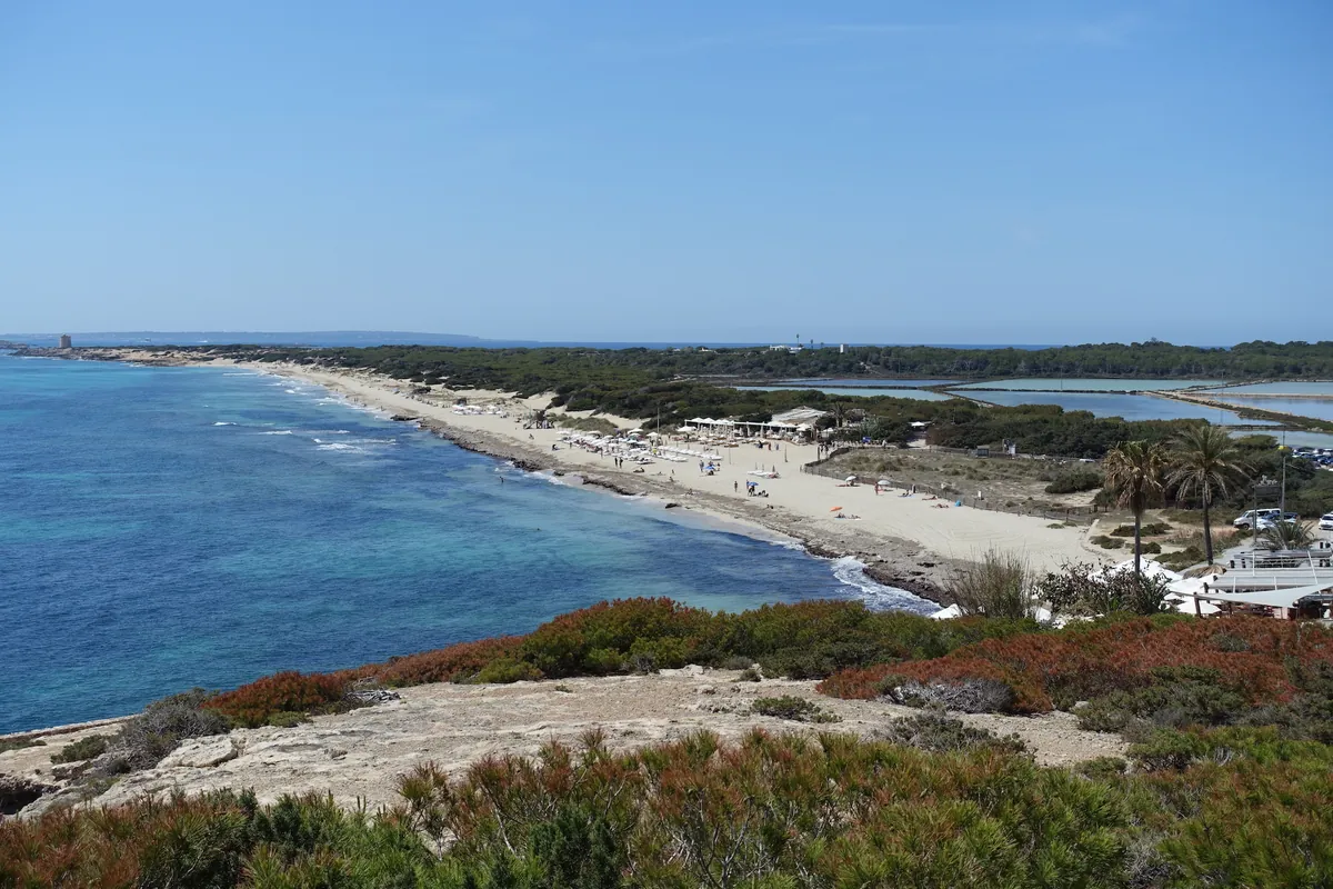 Foto de Platja des Cavallet